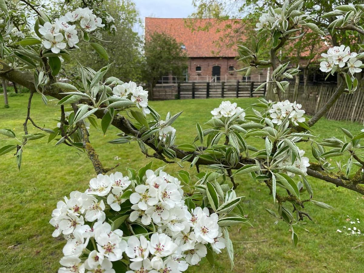 De Zeeuwsche Hoeve Kerkwerve Екстериор снимка