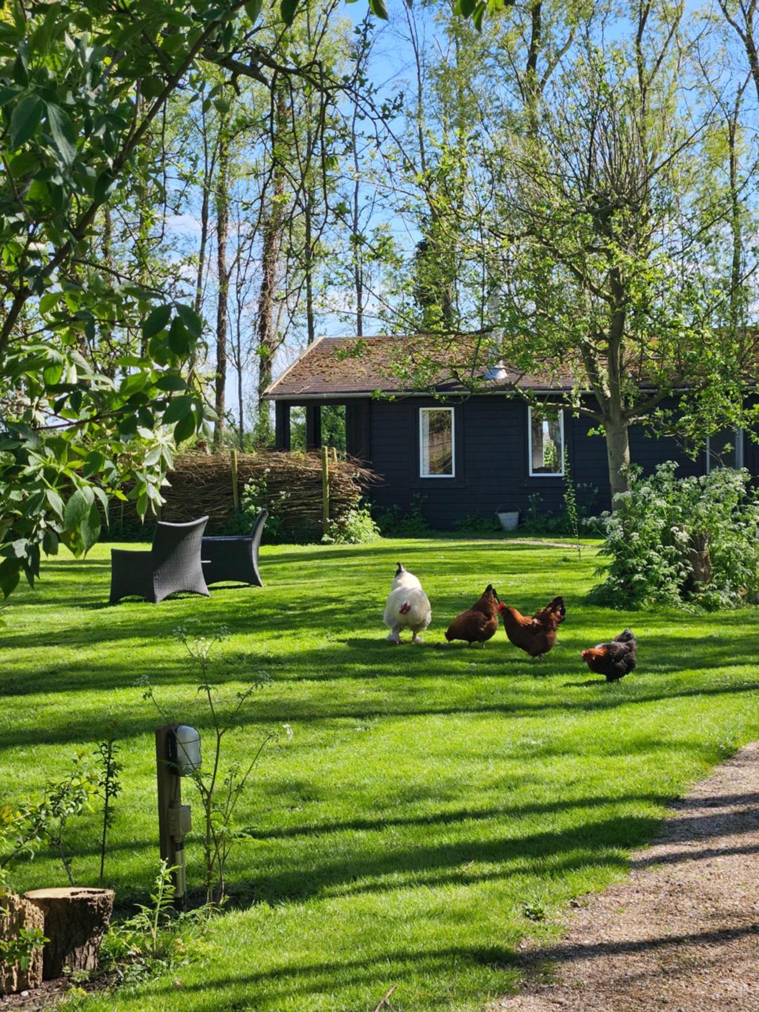 De Zeeuwsche Hoeve Kerkwerve Екстериор снимка