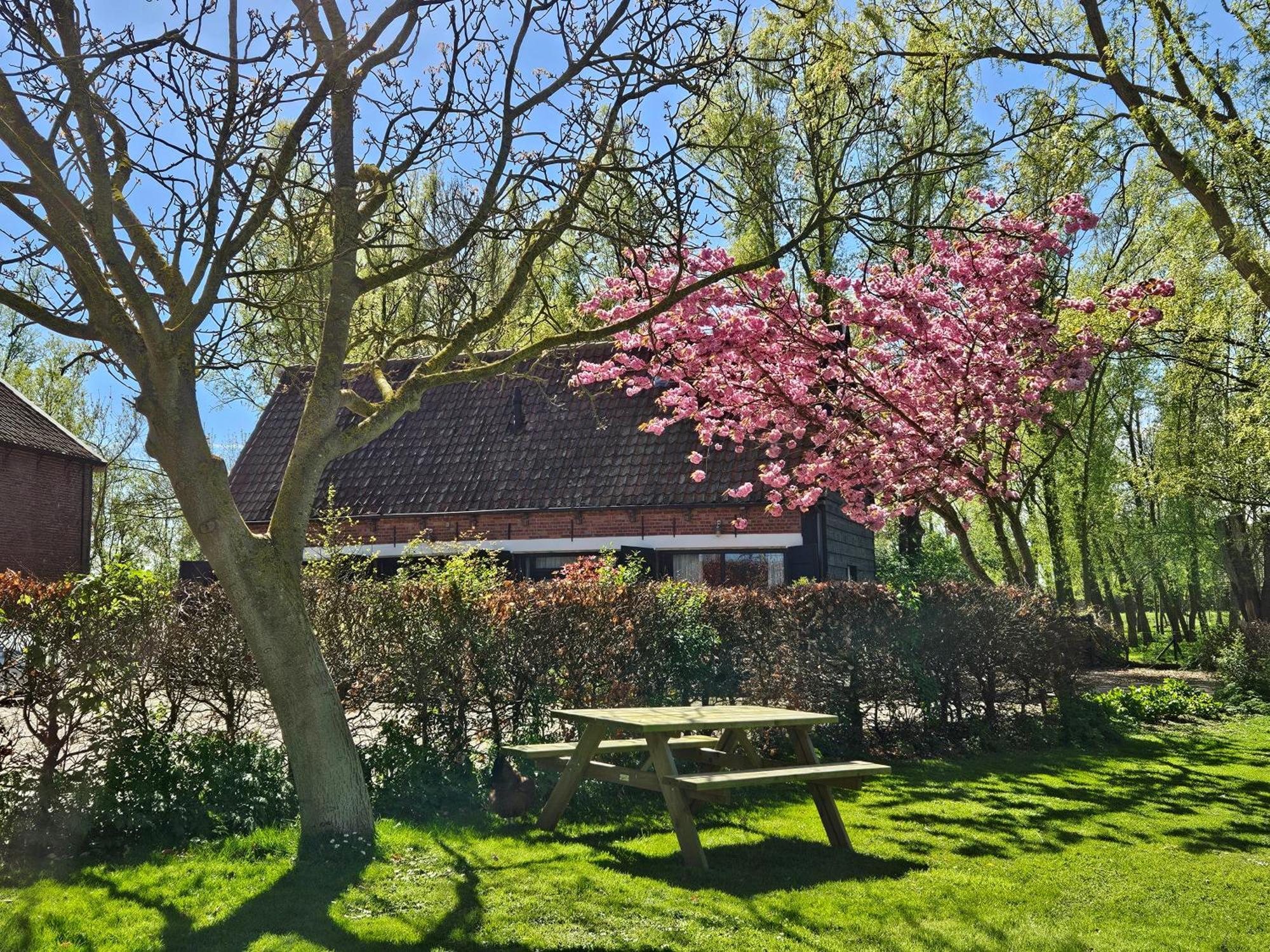 De Zeeuwsche Hoeve Kerkwerve Екстериор снимка
