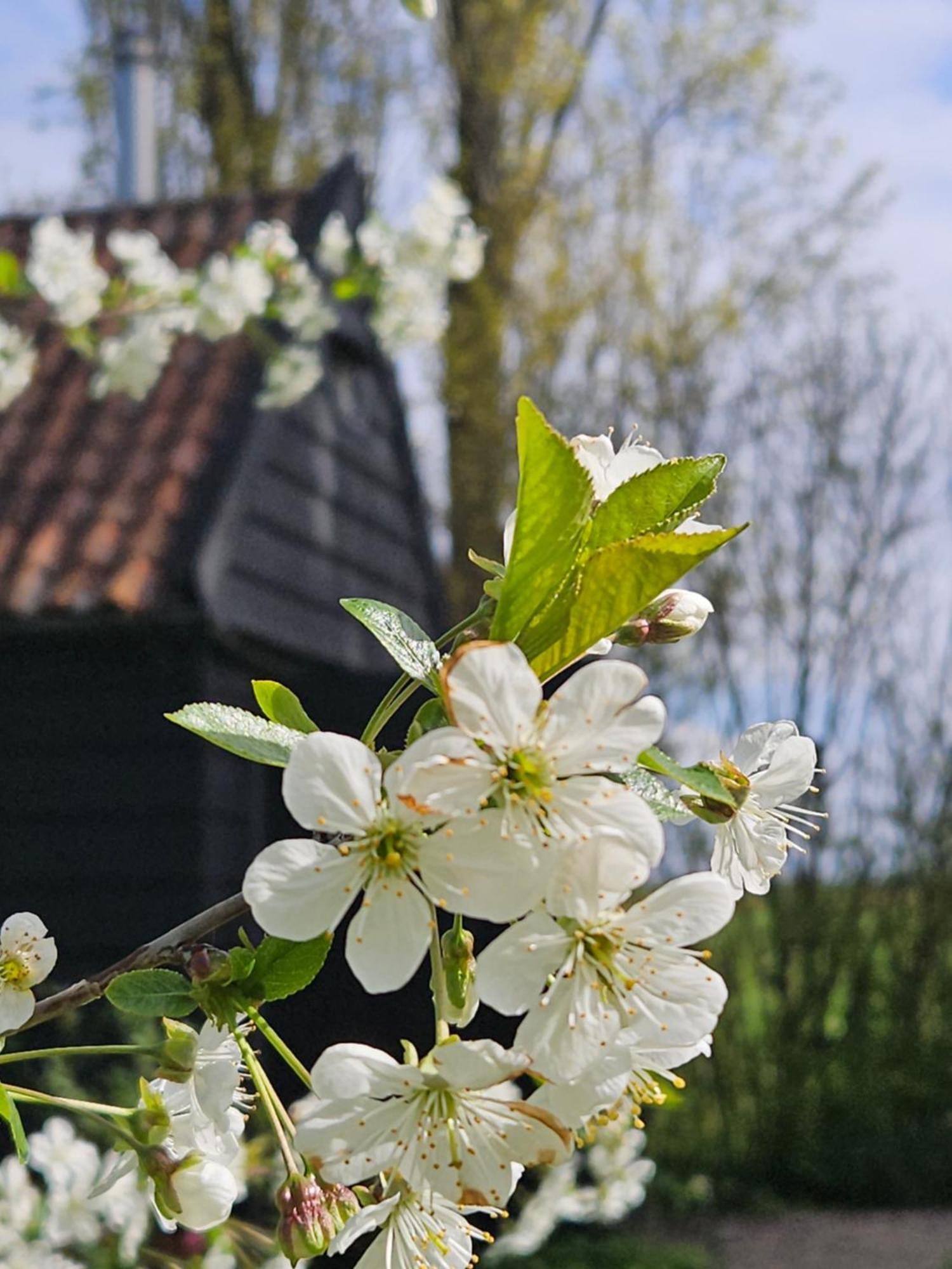 De Zeeuwsche Hoeve Kerkwerve Екстериор снимка