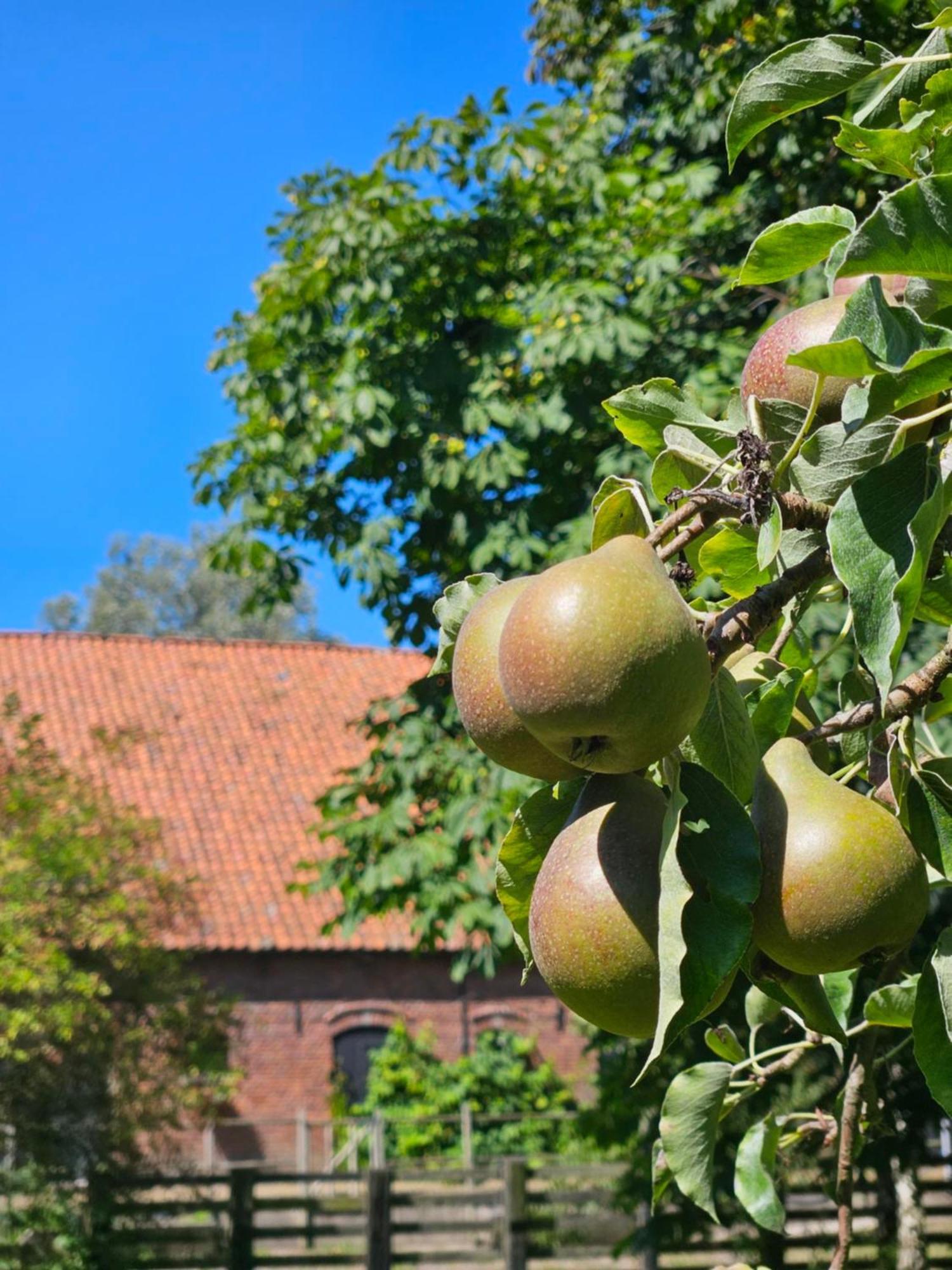 De Zeeuwsche Hoeve Kerkwerve Екстериор снимка