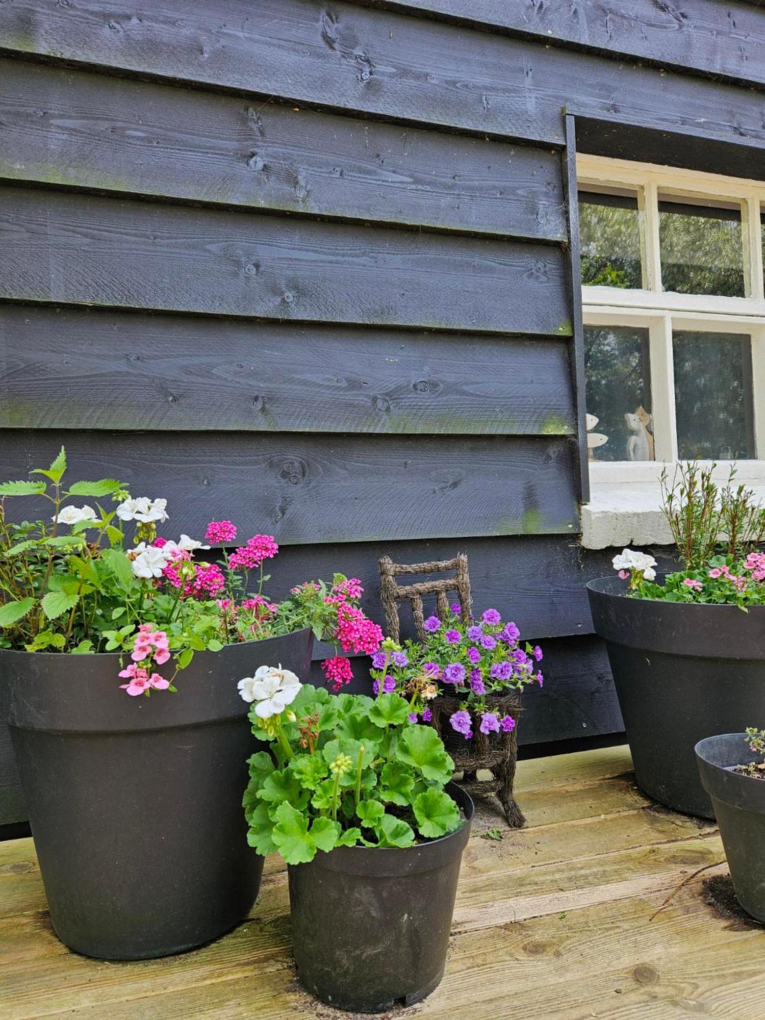 De Zeeuwsche Hoeve Kerkwerve Екстериор снимка